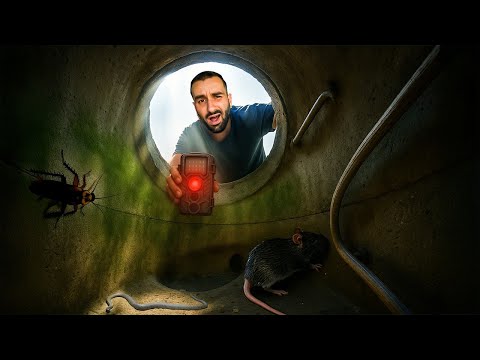 J’ai Caché une CAMÉRA dans les Égouts… Voici ce qu’elle a vu !