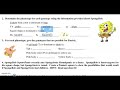 Genotypes and Phenotypes in Genetics