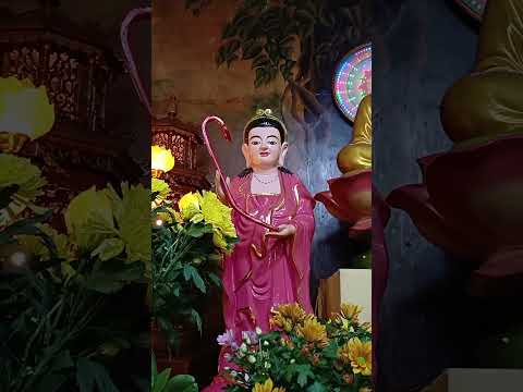 chùa Huyền Trang Tự, #vongtayphongthuygiakhiem #loiphatday #tamtrang #travel