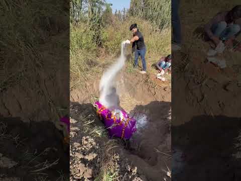 Ap log bhi aisa hi kre agr apke pass koi cow ya buffalo ho to #pawansahu