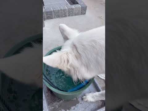 ที่บ้านหนาวไหม