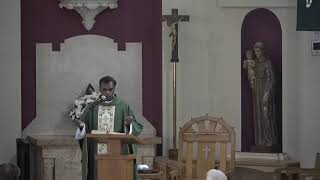 Tuesday, Twelfth Week of Ordinary Time, Mass with Fr. Christy Yesudass, MSC (06/23/2026)