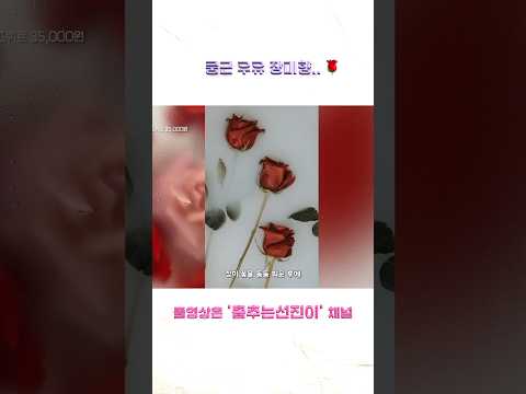 100번 뿌려도 머리 안아픈 장미향🌹 #헤어퍼퓸 #향기템 #<strong>향수추천</strong>