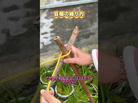 【8の字フレーム結び技!】ロープ一本で竹をしっかり縛り,フレーム組みに超便利!#ロープ結びスキル #生活コツ #手作り知識