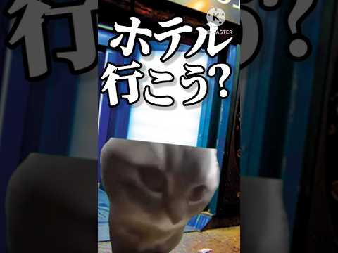 【猫ミー厶】チピチャパ猫…気まずくない？　#猫ミーム #猫マニ #Catmeme #なんか気まずくない