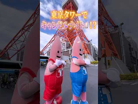 【東京タワー】キャンドルナイトが楽しめるって知ってた？#tokyotower #shorts