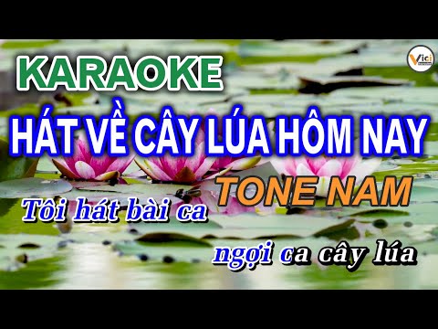 HÁT VỀ CÂY LÚA HÔM NAY || KARAOKE – Beat Hay [Tone Nam]