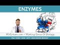 Exploring Enzyme Function and Factors Affecting Activity
