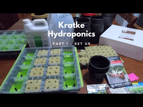 My First Time Trying Kratke Hydroponics Part 1 (Beginner Setup + Herb Seed Haul!) #microdwarf2526