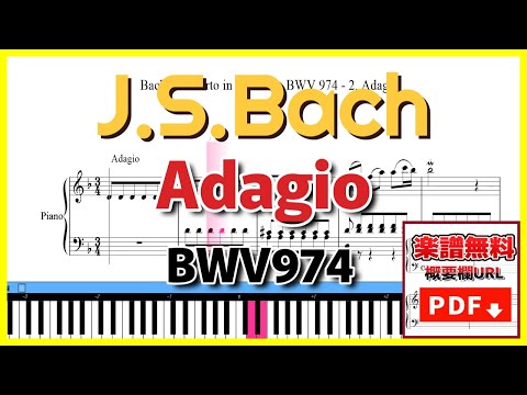 アダージョ - バッハ | Concerto in D Minor, BWV 974  No2. Adagio