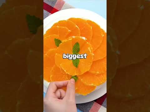 What's the funniest way you've gotten revenge on a teacher #shorts #jaidmeel