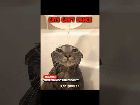 Cats can’t dance ☠️ #trollface #edit #shorts