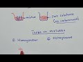 Understanding Mixtures and Substances