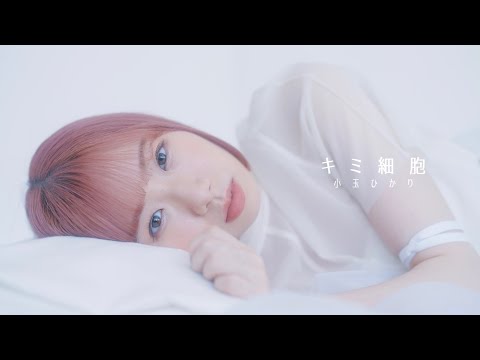 キミ細胞 / 小玉ひかり (Official Music Video)