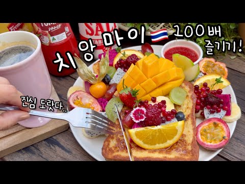 퀄리티 넘사벽! 치앙마이🇹🇭 카페, 맛집, 미술학원 투어👩🏻‍🎨🎨 농장 체험👩🏻‍🌾 태국Vlog✨