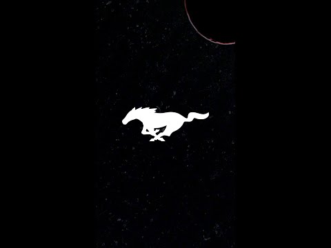 Un Mustang își lasă amprenta peste tot pe unde ajunge.