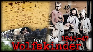 Die Tragödie der ostpreußischen Wolfskinder 1945-47