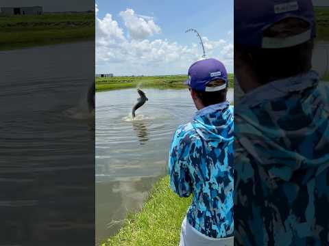 200lb Florida Pond Monster