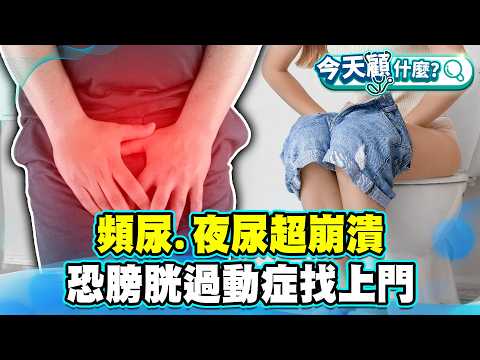 頻尿、夜尿超崩潰 恐膀胱過動症找上門！改善關鍵：飲食＋骨盆底肌運動！【#今天顧什麼？】健康2.0 ​ @tvbshealth20​
