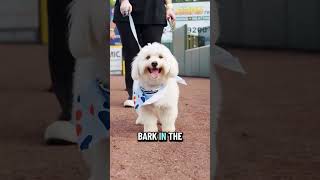 Lots in Store at TD Bank Ballpark this week!