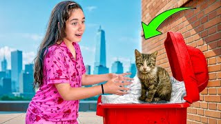 An Injured CAT Was Left in Our TRASH CAN… 
