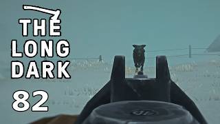 THE LONG DARK ❄ Wölfe, Wölfe, Wölfe und eine Shotgun! ❄ [E5/82]