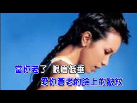 當你老了-karaoke字幕