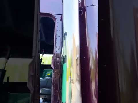 La belleza del bacalao ♥️💯