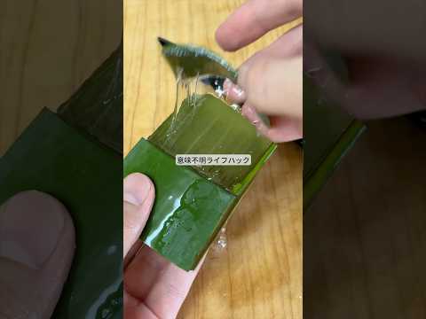 意味不明ライフハック！ #ライフハック #暮らし #雑学 #裏技 #shorts