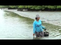 Mangrove Ecosystem and Community Impact