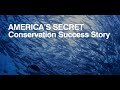 Conservation and the Magnuson-Stevens Act