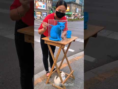 π±I rescued a cat from trouble ππ±