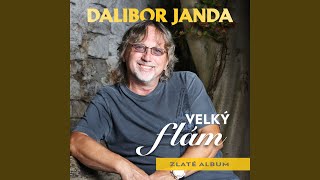 Dalibor Janda - Čas návratů