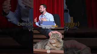 Allah'ın Kedilere Sakladığı Büyük Sır... @hayalhanem