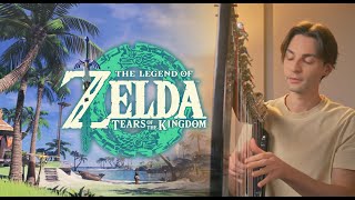 Lurelin Village - Zelda: Tears of the Kingdom - Harp Cover