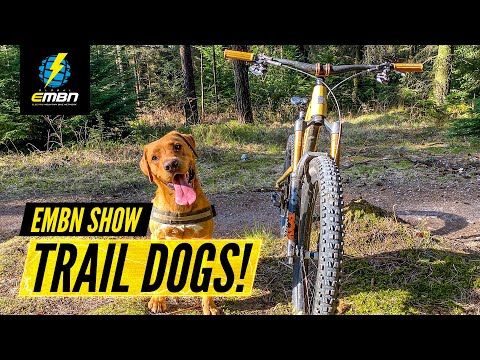 EMTB Trail Riding With Dogs!? | EMBN Show 224