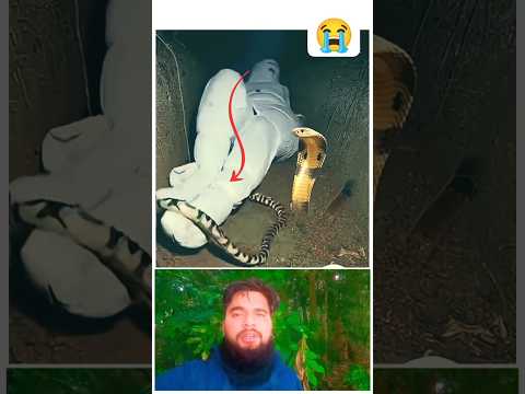 kullu Nafsin Zaiqatul Maut P-108 🥺😥ðŸ˜ðŸ˜± #shorts #viral #قرآن #لايك #القارئ #عبدالرØÙ…Ù†_مسعد