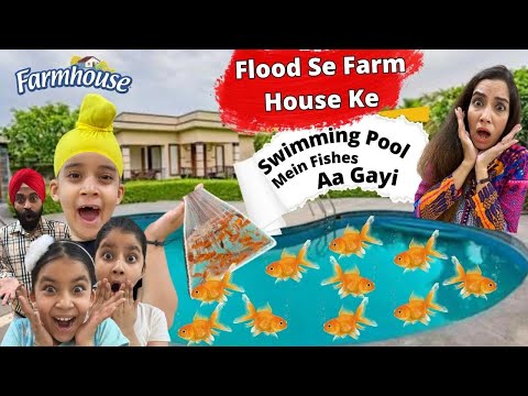 Flood Se Farm House Ke Swimming Pool Mein Fishes Aa Gayi | RS 1313 VLOGS | Ramneek Singh 1313