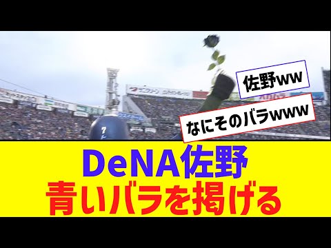 DeNA・佐野、先制スリーラン！ 青い薔薇を掲げるｗｗｗｗ【なんJ反応】