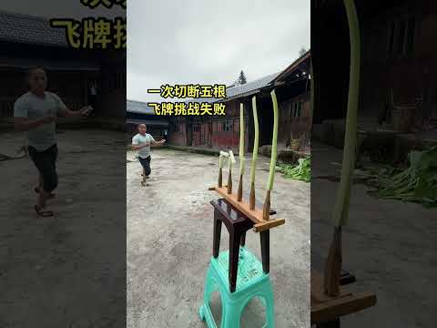 cao thủ tại nhân gian 1