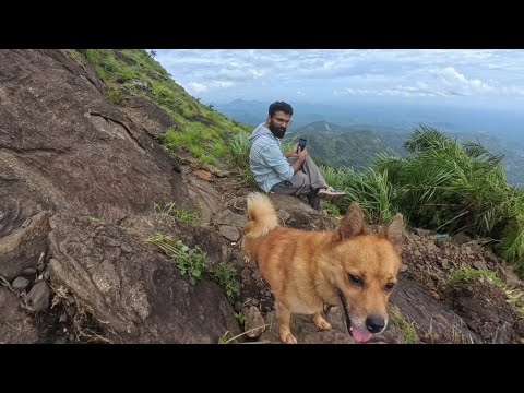 Trecking with Puppy kuttan ഇല്ലിക്കൽ കല്ലിൻ്റെ പിറക് വശം  #illikkalkallu  #kottayam #Pala