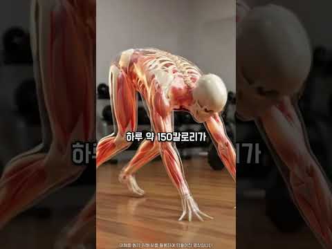 당신이 매일 버피테스트를 100회씩 하면 생기는 변화