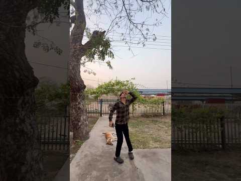 Yeh Helicopter ke awaz kaha se aa rahi hai 🤔