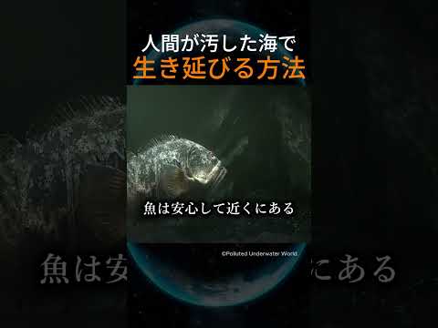 人間が汚した海で生き延びる方法