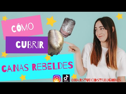 Cabellos Con Canas Como Cubrirlas? #canas #peluqueria #colorimetria #tintes #tintesnaturales