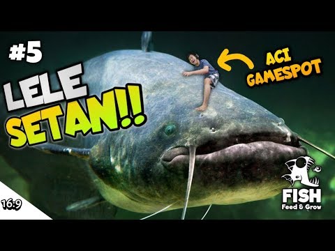 PAKE LELE LEVEL 999 AUTO TERBANG WKWK!!!! Feed And Grow Fish Part 5 [SUB INDO] ~Ngakak Abiss wkwk