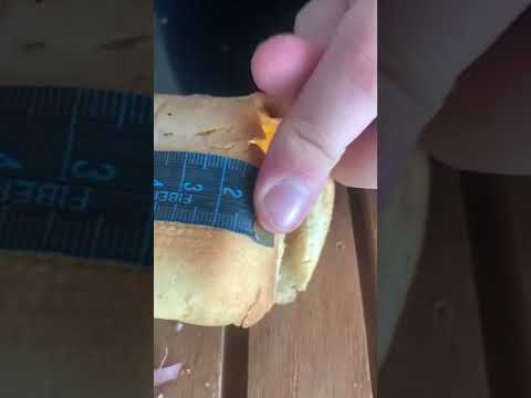 Será que os sanduíches do SUBWAY tem os TAMANHOS corretos?! 🧐 |#Shorts