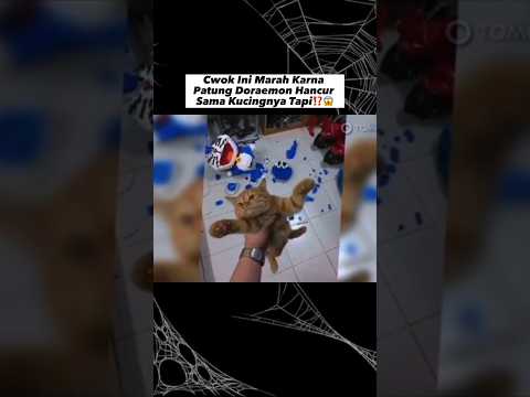 CWOK INI MARAH KARNA PATUNGNYA HANCUR KARNA KUCING⁉️😭 #trendingshorts #storytelling #humor #dog