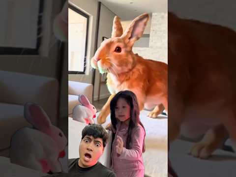 No hagas enojar el conejo gigante de Pascua 🐇 ￼