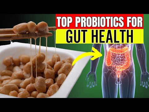 Top 10 Probiotics for Gut Health (Doctors Recommend #3!)